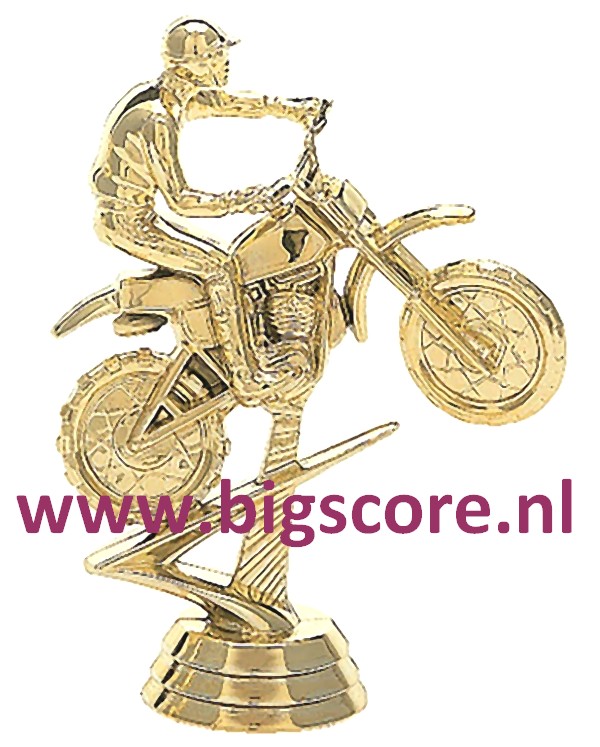 Motorcross Figuur 370 Goud